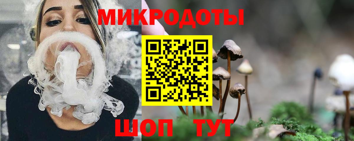 Псилоцибиновые грибы GOLDEN TEACHER Малгобек